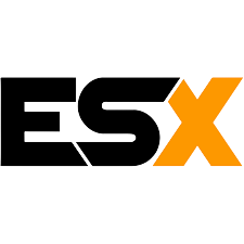 ESX logo